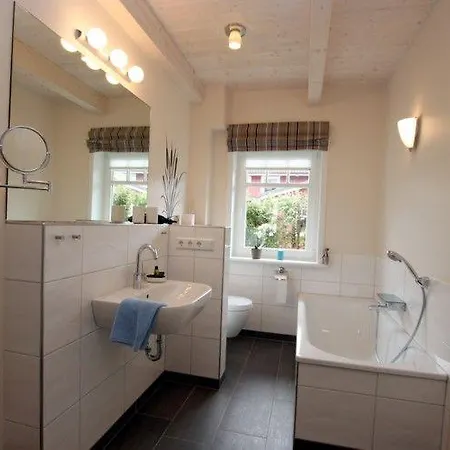 Haus-seeschwalbe-sfw-49